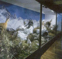 Museo del fiume Po