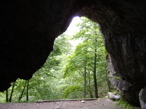 Entrata