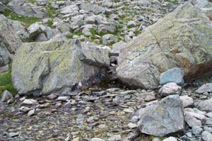 sortengi del fiume PO